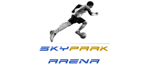 SkyPark Arena logo